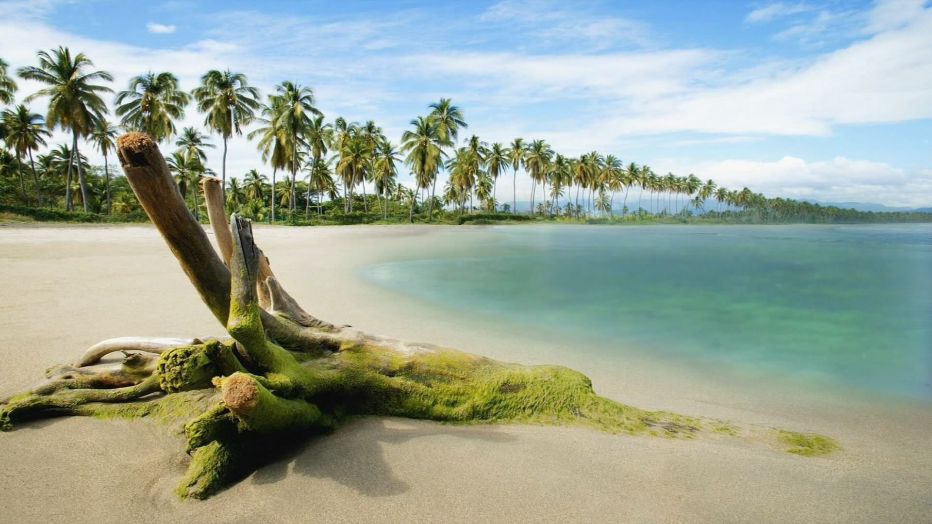 HD Nature Wallpaper