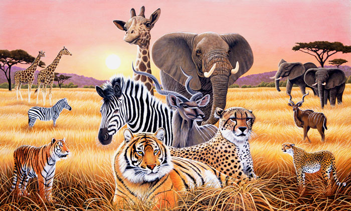 Safari Animal Wallpaper Wallpapersafari HD Wallpapers Download Free Images Wallpaper [wallpaper981.blogspot.com]