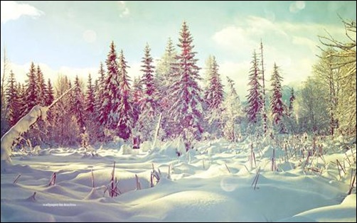 Breathtaking Winter Wallpaper Designs