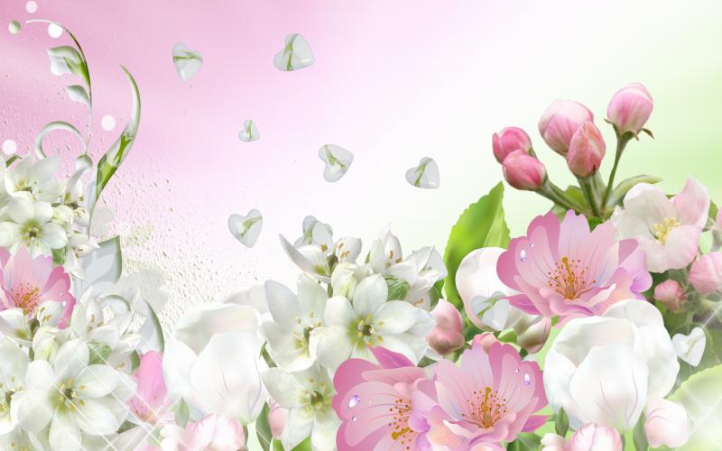 HD Apple Blossom Spring Wallpaper