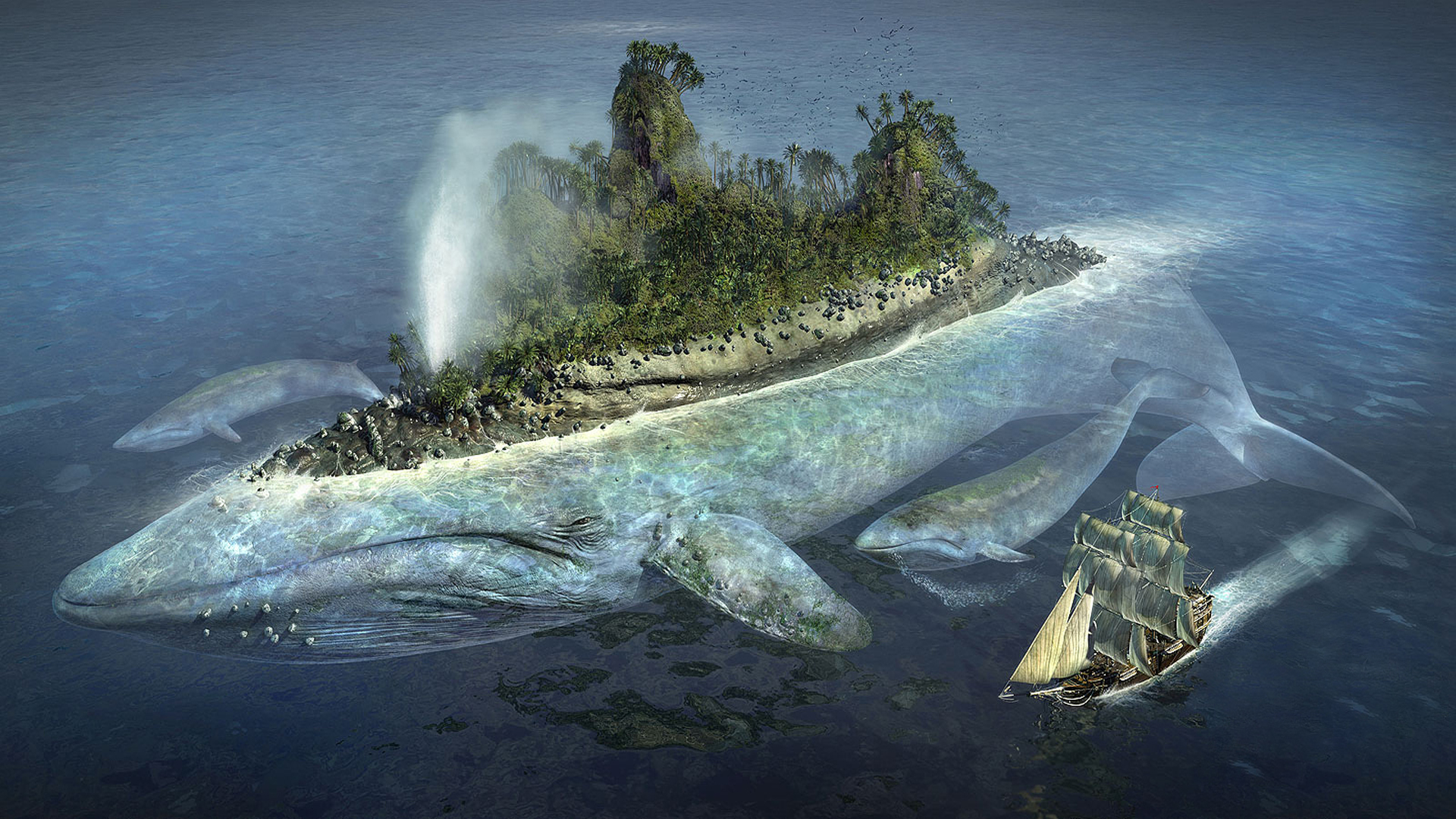 Island Resort Desktop Wallpaper Whale