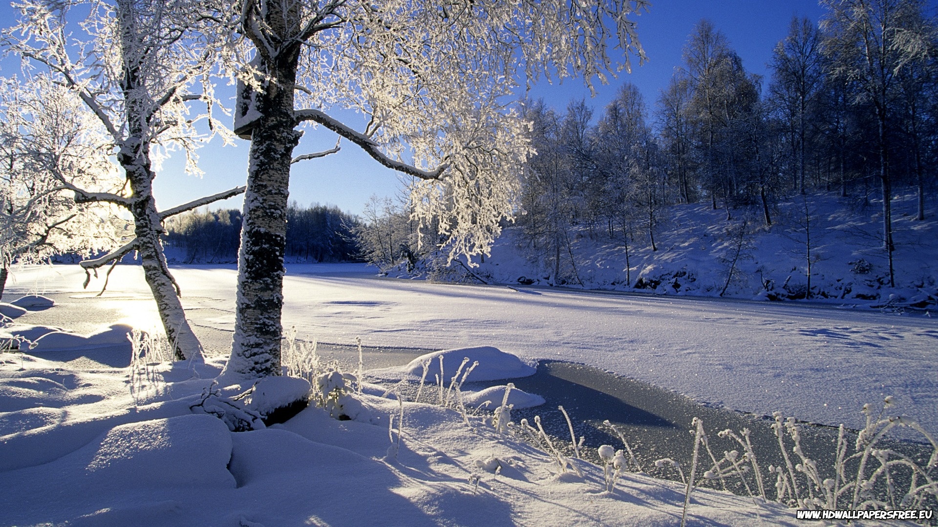 Beautiful Snow Winter HD Wallpaper In Resolution