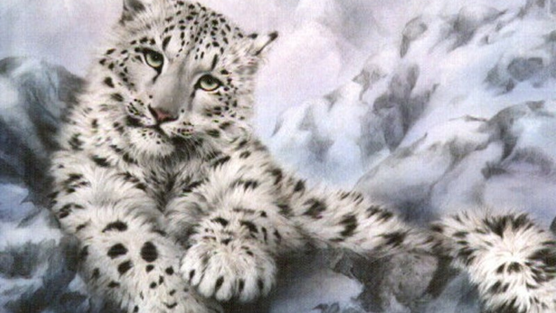 Snow Leopard Wallpaper Loopele
