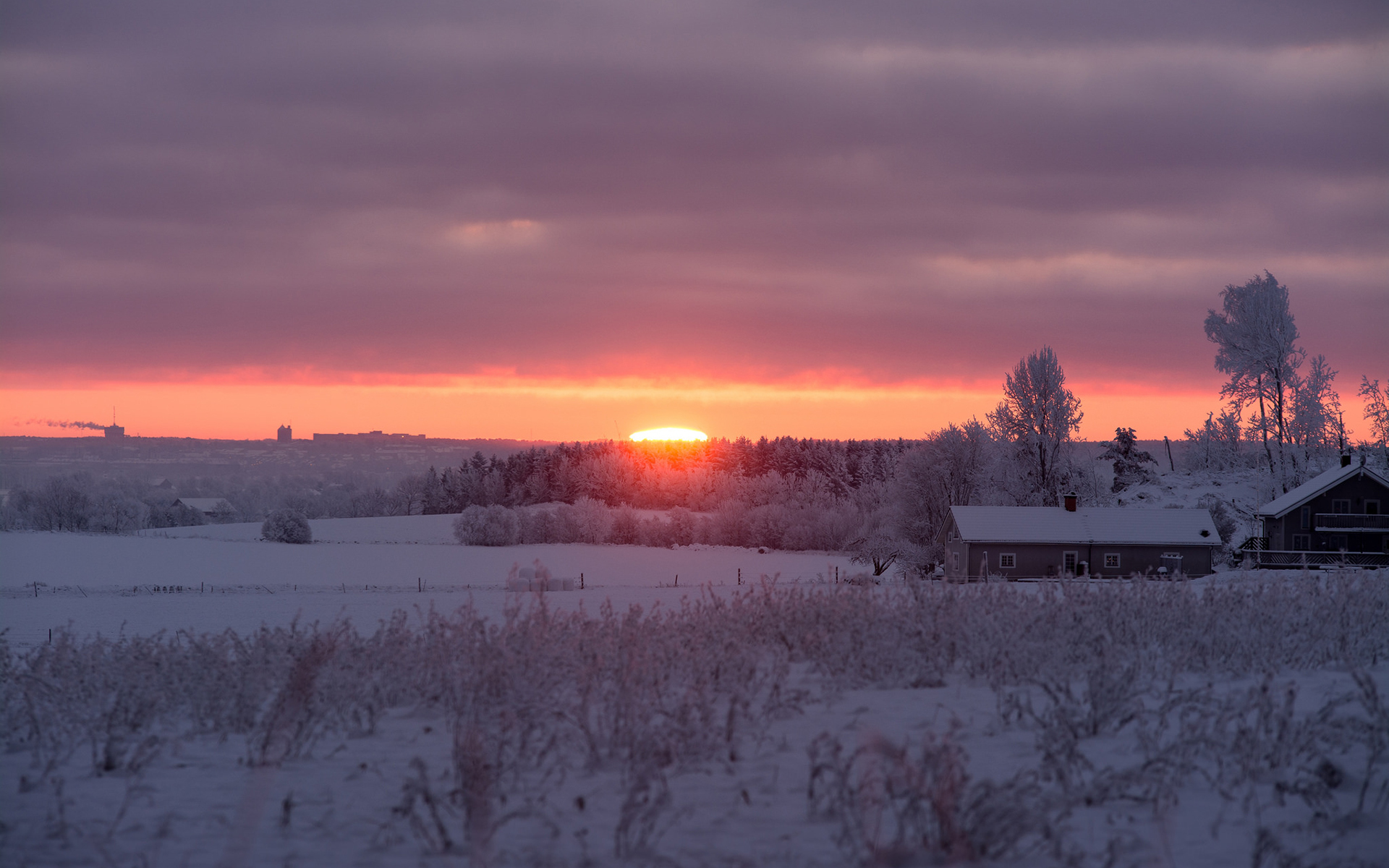 Wallpaper Winter Sunrise Snow Morning Landscapes