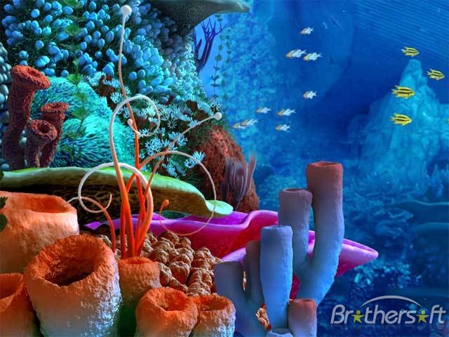 Coral Reef 3d Screensavers