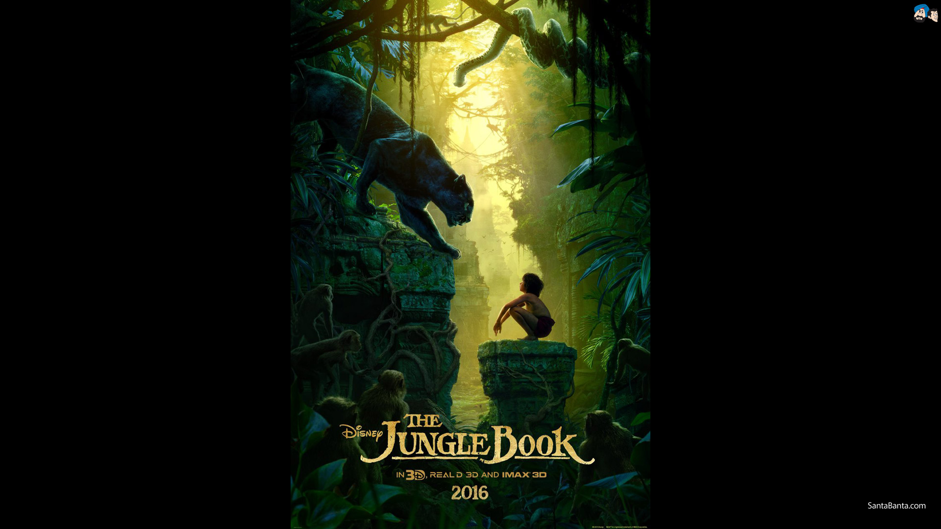 Book Pics To The Jungle Photos Wallpaper