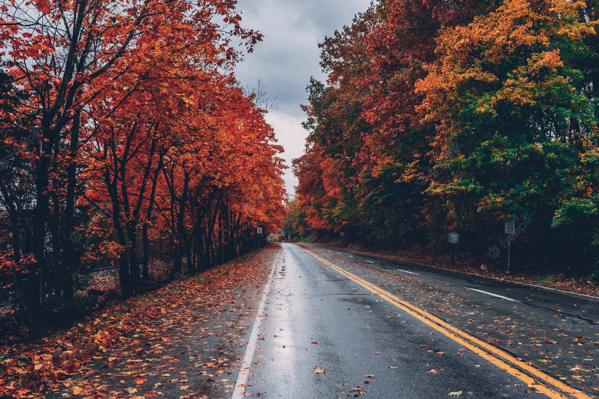 A Beautiful 4k Image Of Calming Fall Field With Vibrant Wallpaper