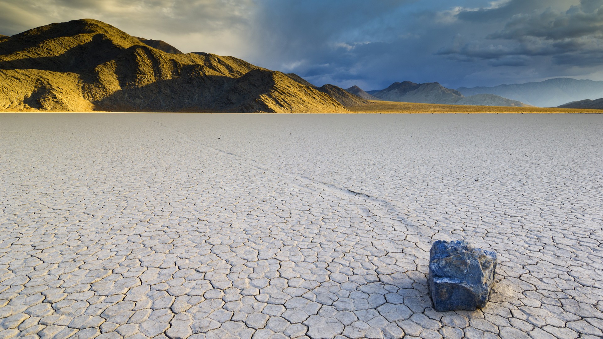 Death Valley Desert Plants HD Wallpaper Background Image