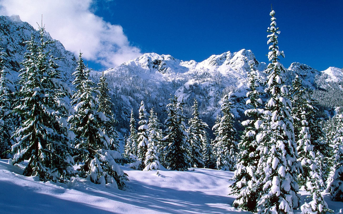 Winter Landscape Pictures