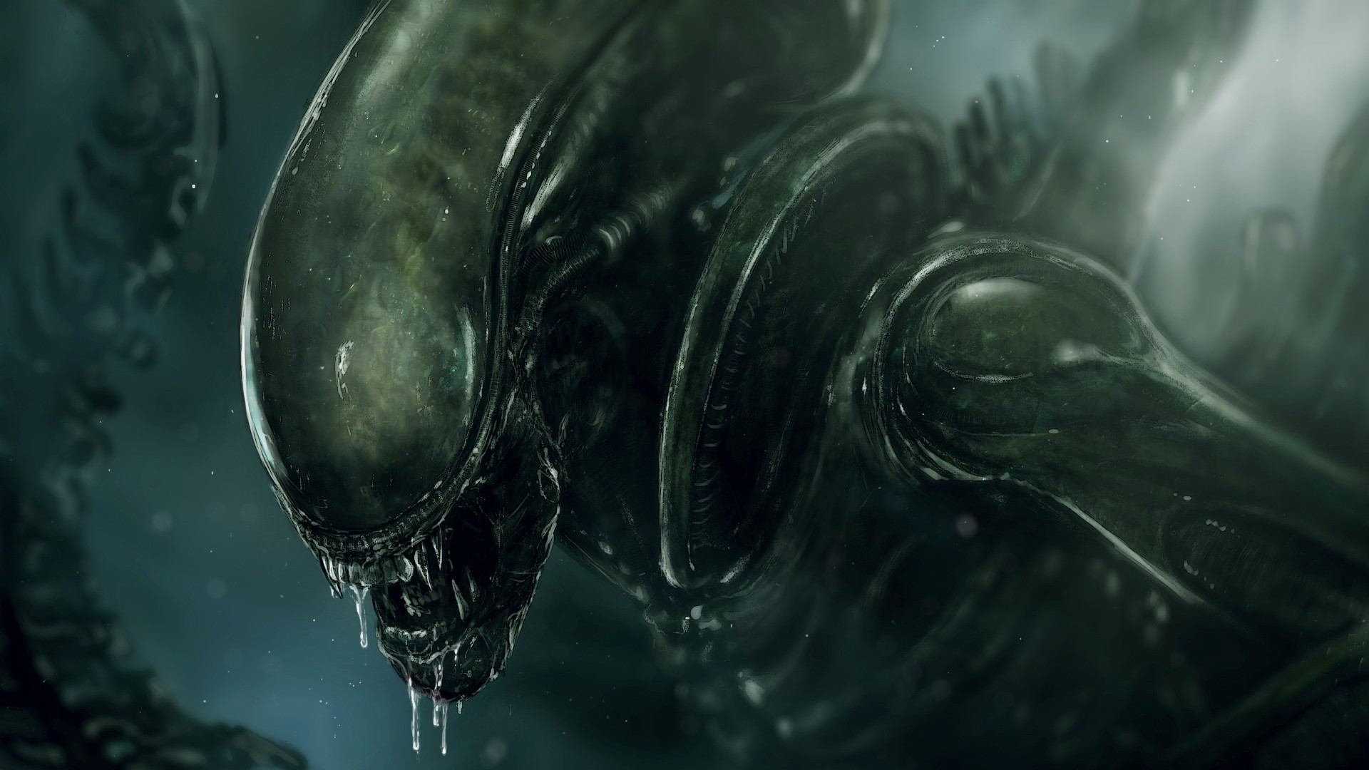 Alien Movie Xenomorph Wallpaper HD Desktop And