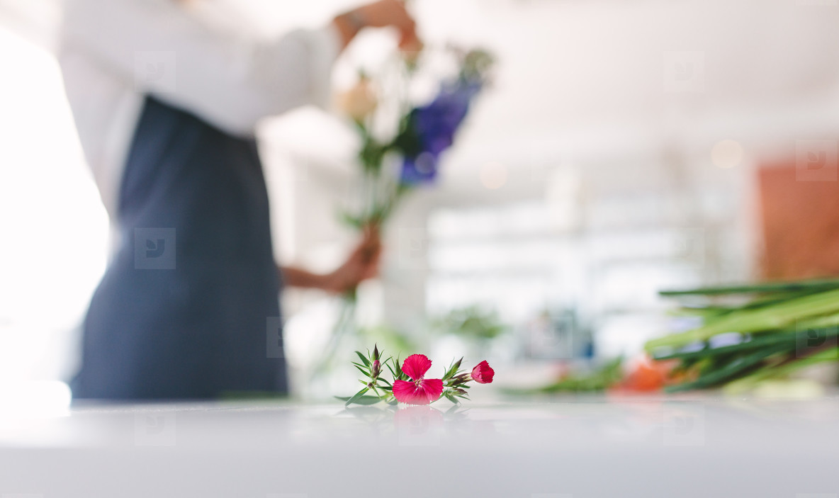 Photos Flower On Counter With Florist Working In Background