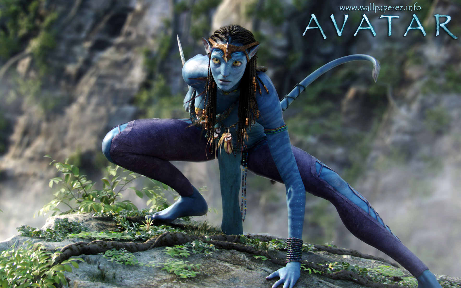 Avatar Movie Wallpaper Posters Desktop