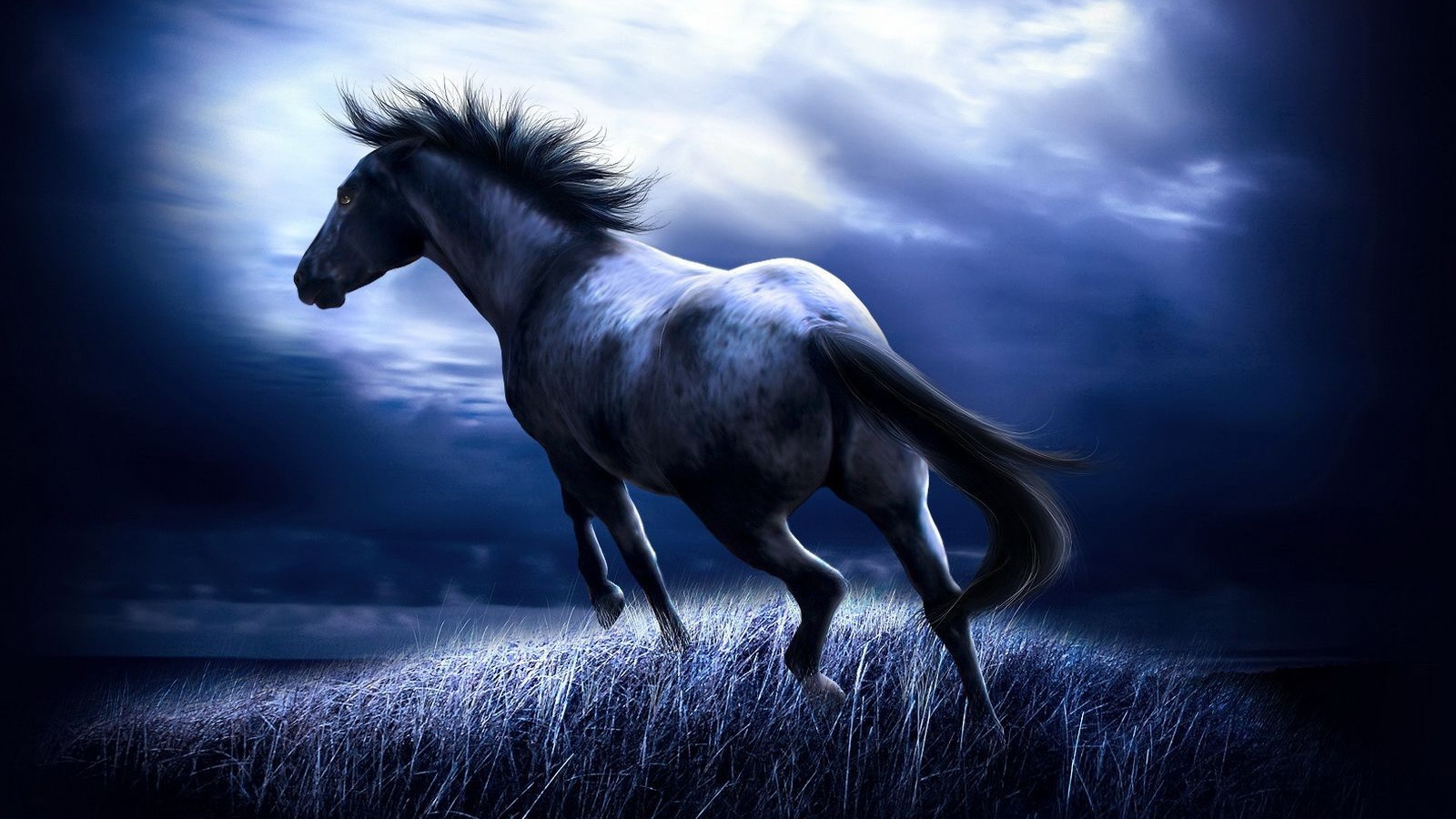 30+] Horse HD Wallpaper 1600x900 - WallpaperSafari