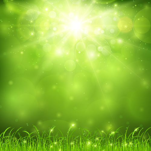 Green Nature Background And Sunlight