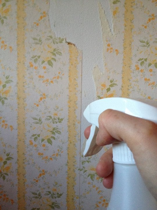 Easy All Natural Wallpaper Removal Tip Use Vinegar and Hot Water 540x720