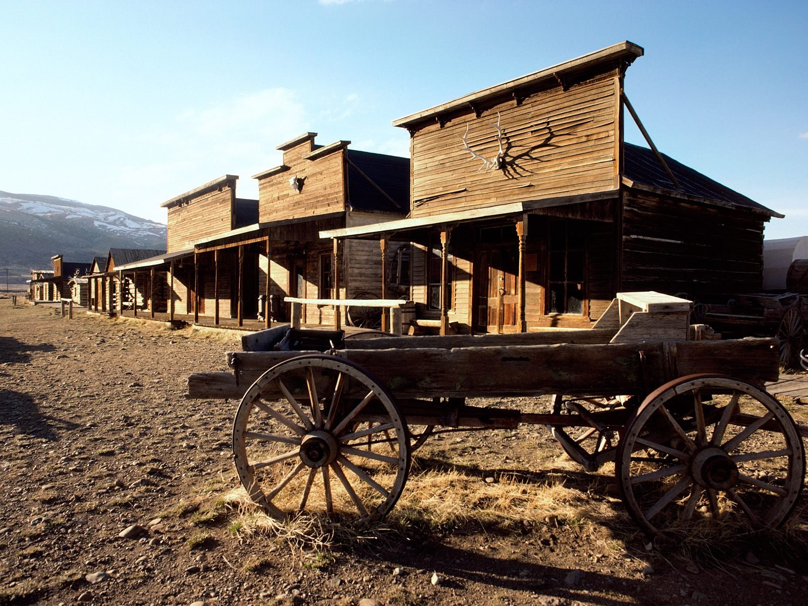 48 Western Cowboy Desktop Wallpaper  WallpaperSafari