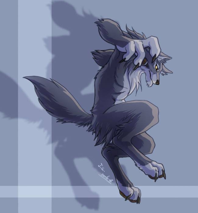 Furry Fox Wallpaper Wolf