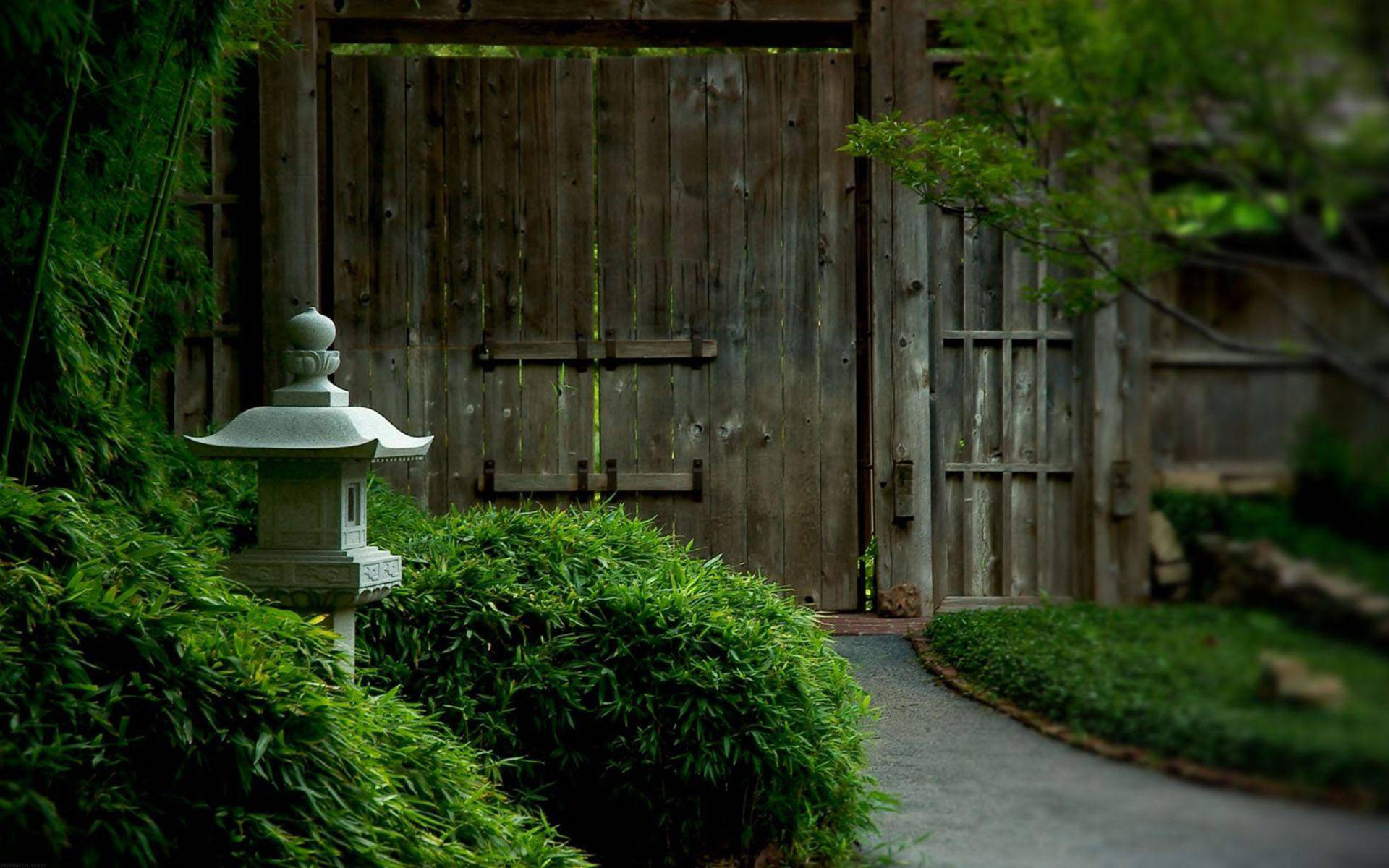 Tea Garden Wallpaper