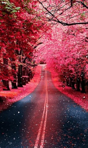 Pink Trees Live Wallpaper For Android By Grayrainbow