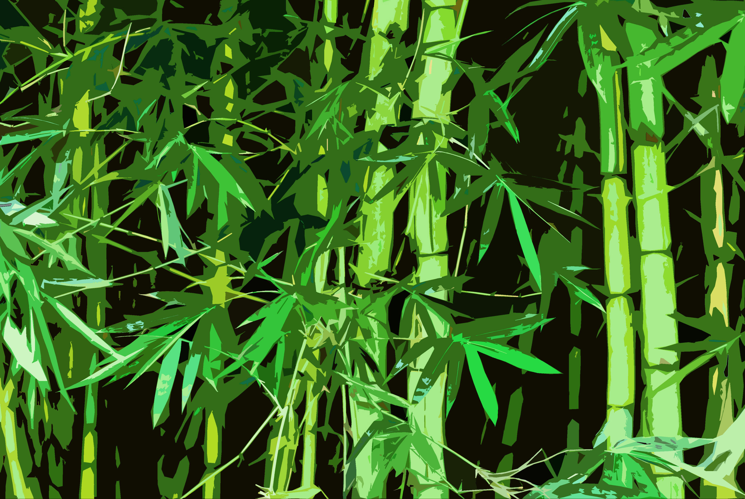 Bamboo Background Light Car Pictures