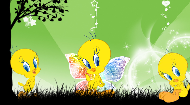 All Products Info baby tweety wallpaper
