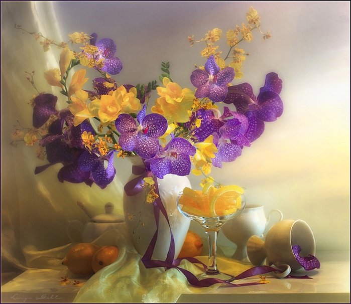 Beautiful Orchids Wallpaper