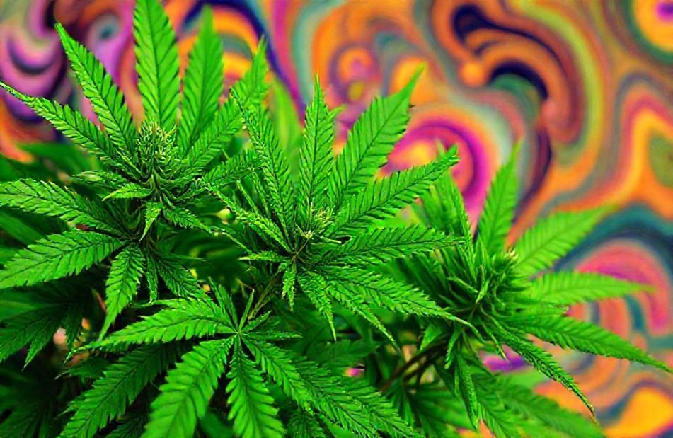 Marijuana Wallpaper And Screensavers