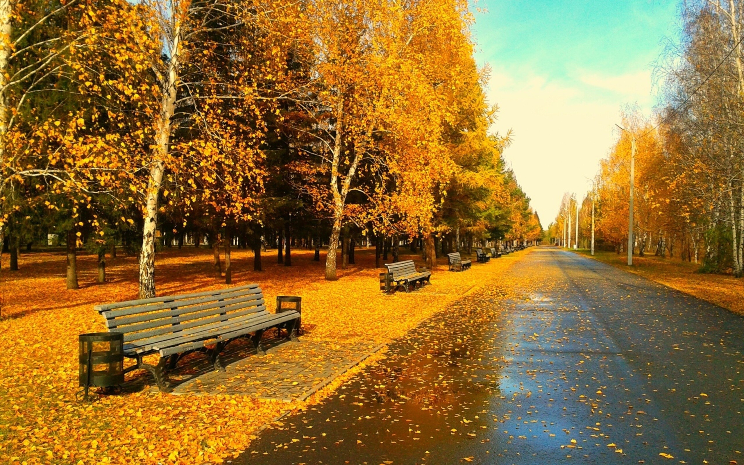 Sunny Autumn Day wallpapers Sunny Autumn Day stock photos 2560x1600