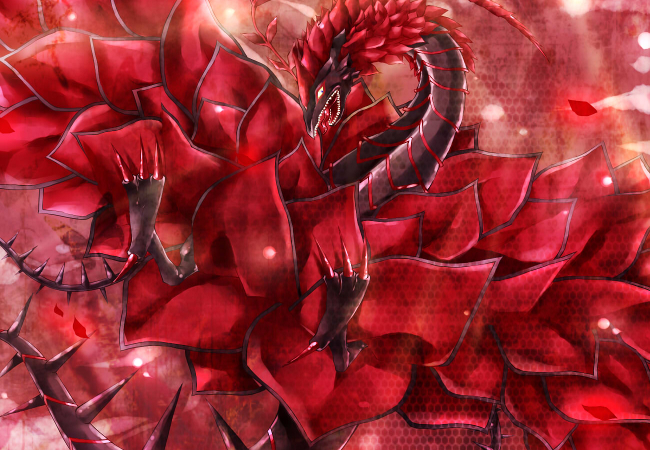 Gallery For Gt Black Rose Dragon Wallpaper