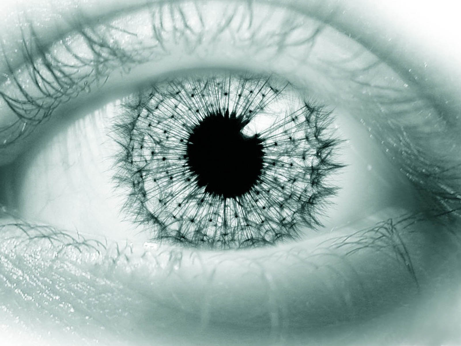 Tag 3d Eye Wallpaper Image Photos Pictures And Background For