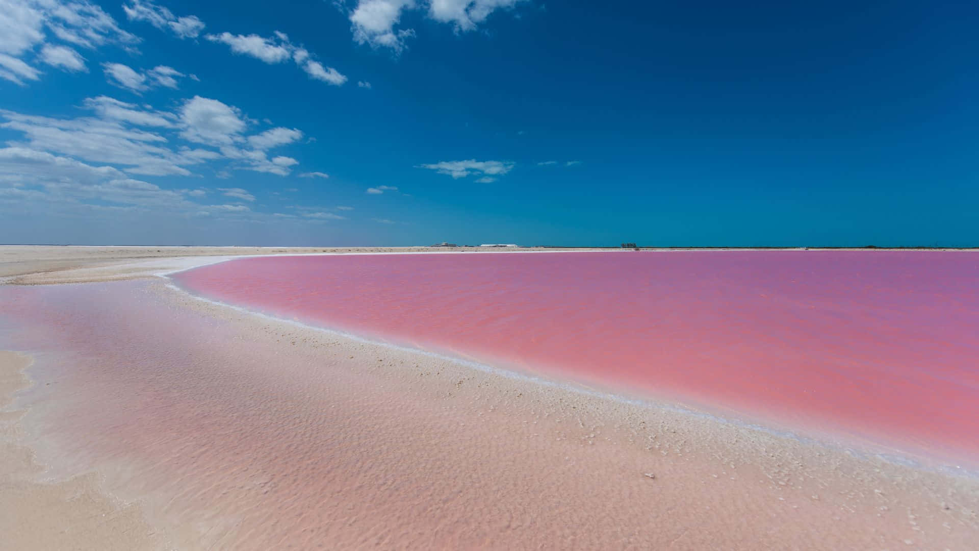 Pink Beach Wallpaper