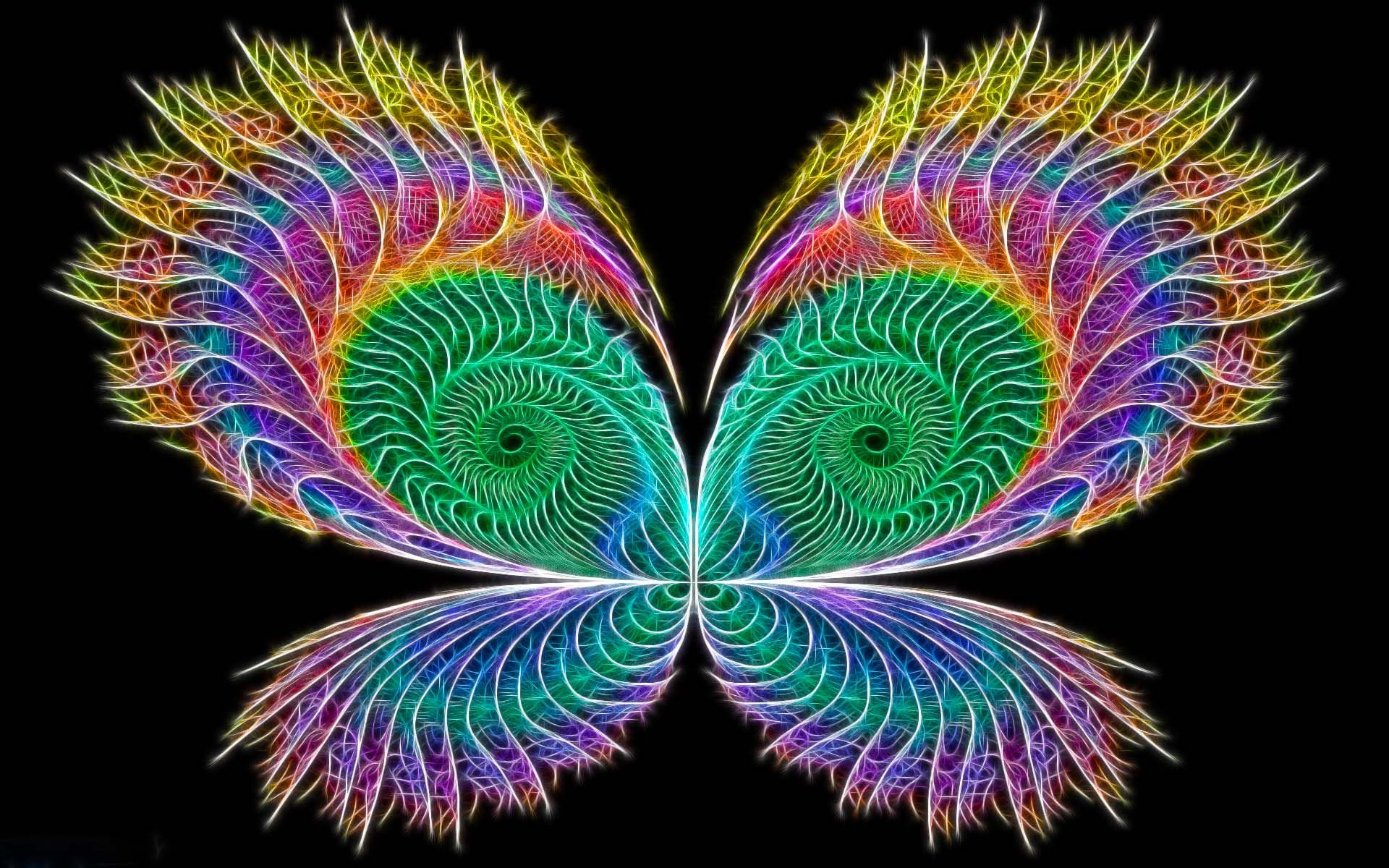 Rainbow Butterfly abstract butterfly colorful fractal