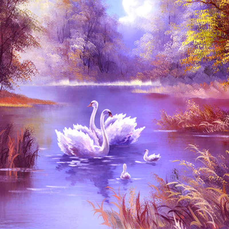 Photo Wallpaper 3D Romantic Beautiful Forest Lake Swan Oil 800x800