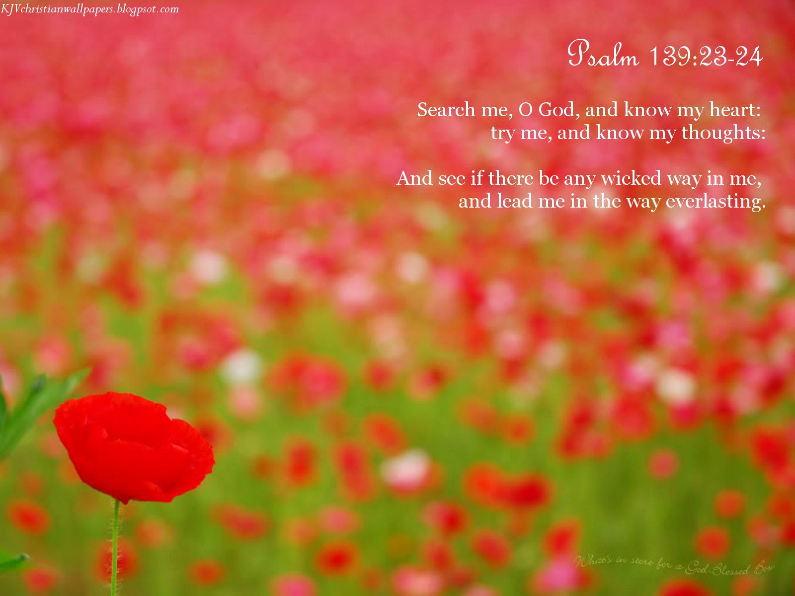 Psalm Wallpaper Christian And Background