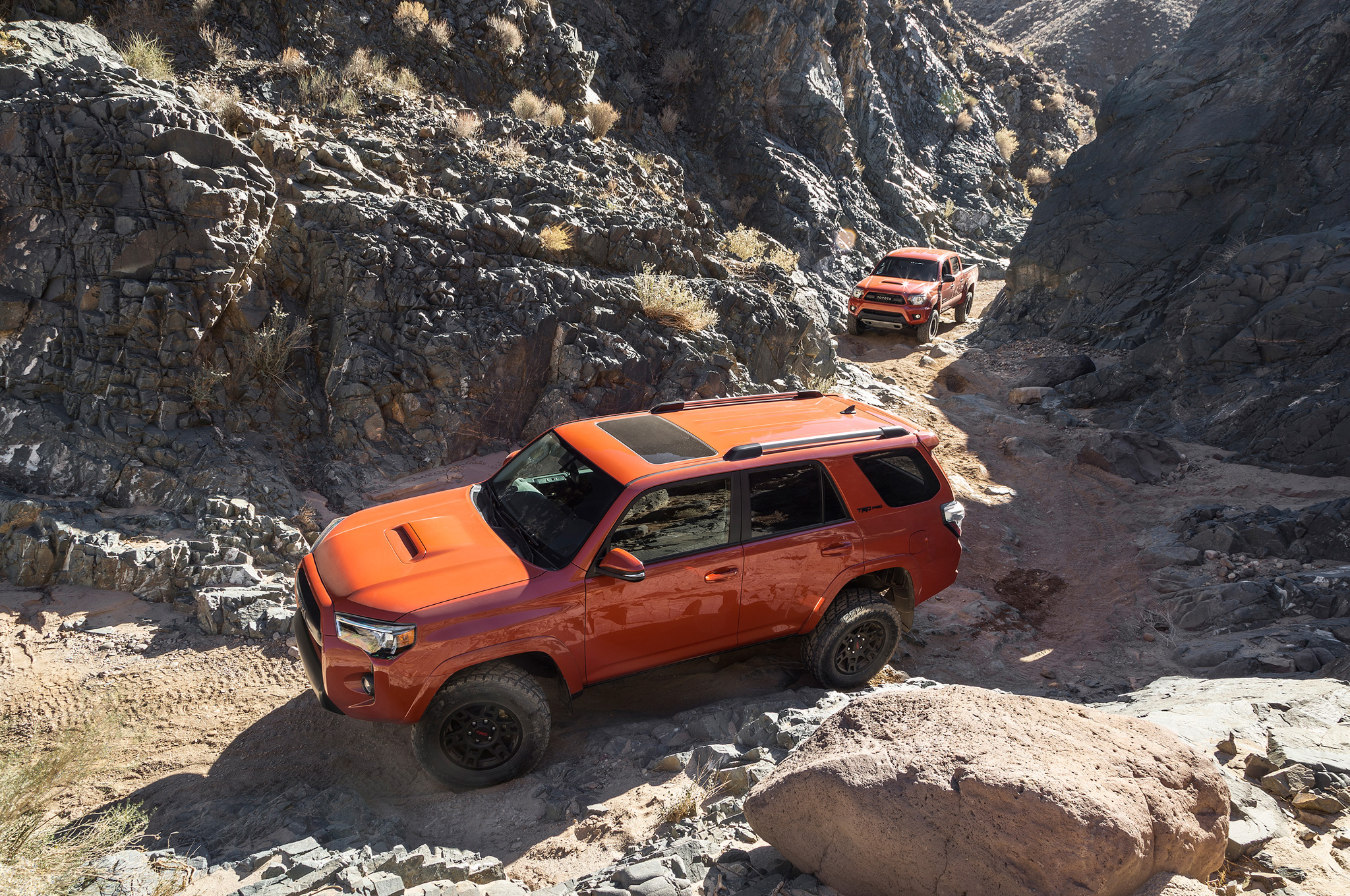 2015 TRD Pro Series for Toyota Tundra Tacoma and 4Runner Photo