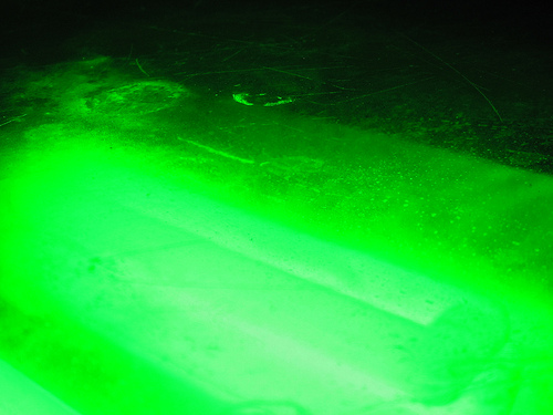 415 x 691 7 kb jpeg neon green backgrounds twitter myspace backgrounds