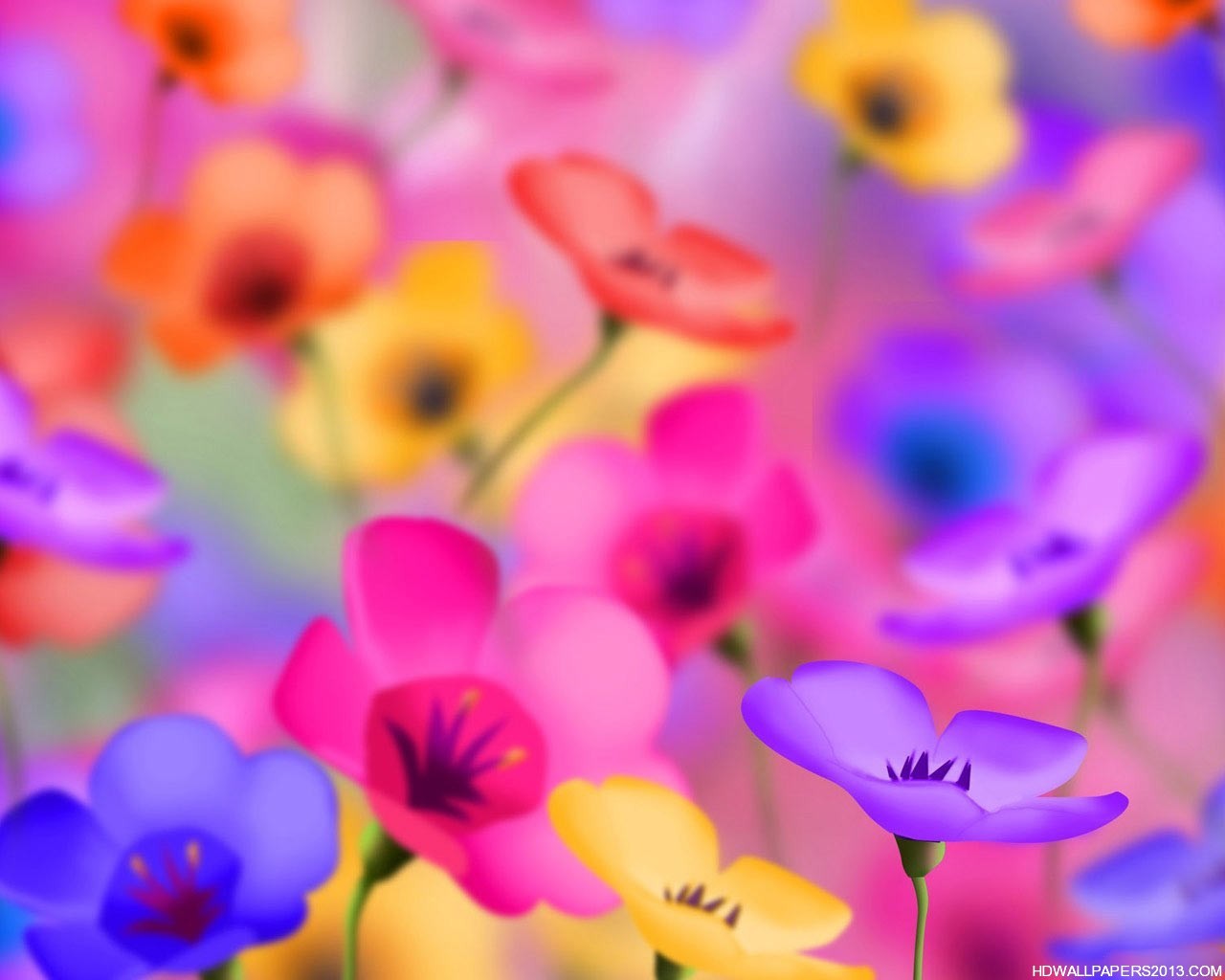 Flower Wallpaper Background HD