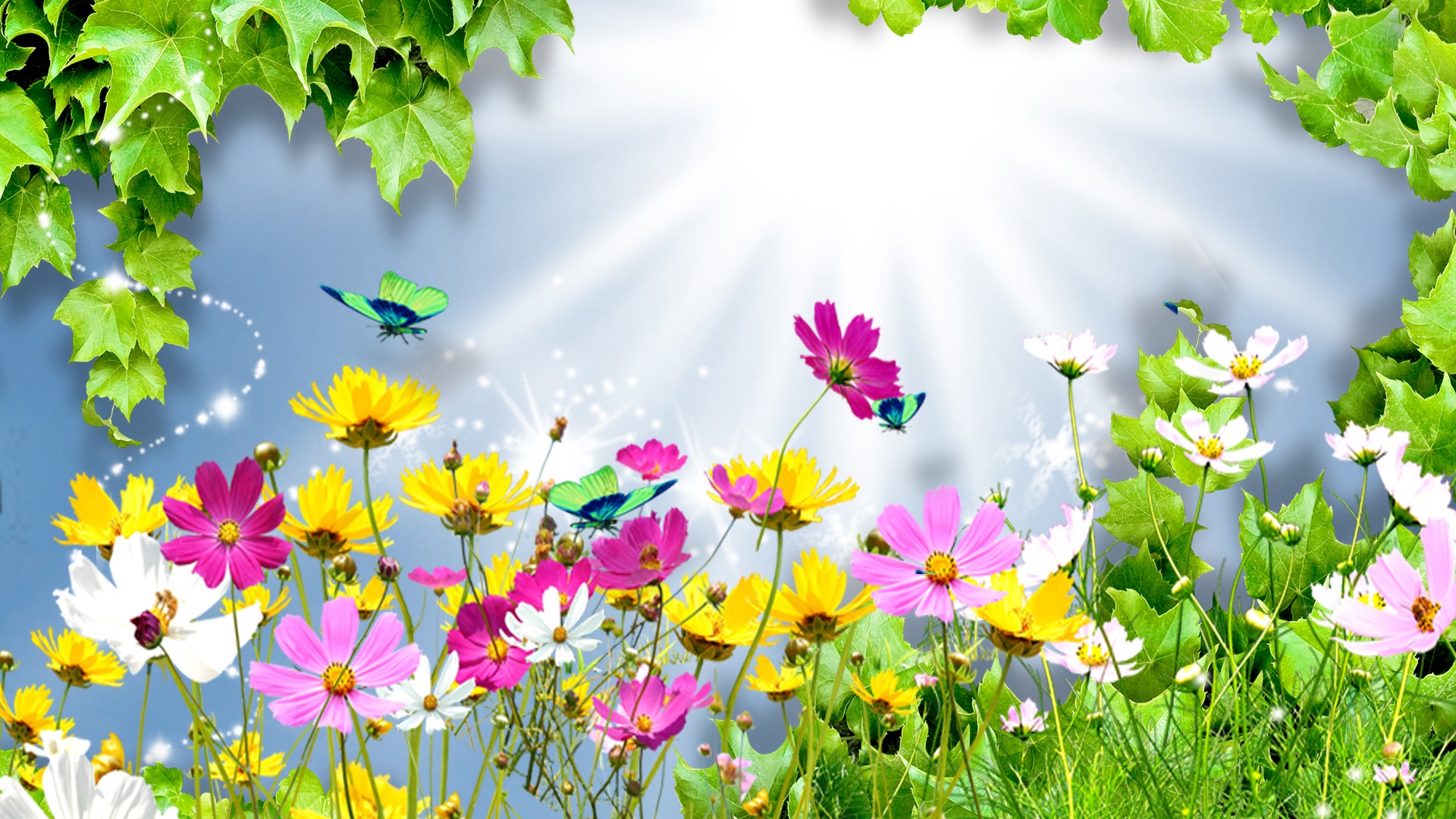 Bright Floral Background Download 1920x1080