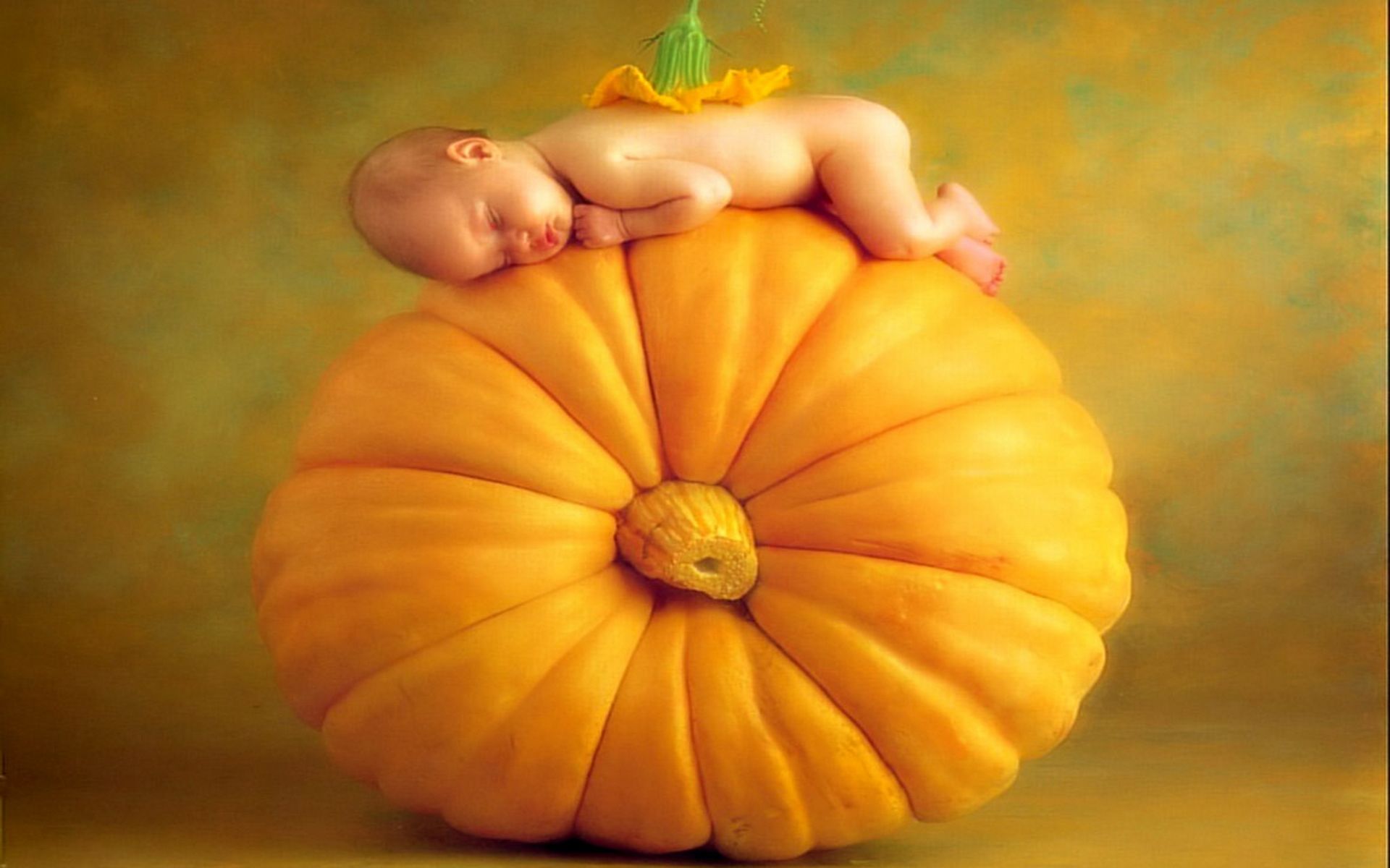 Anne Geddes Wallpaper Baby In Pumpkin