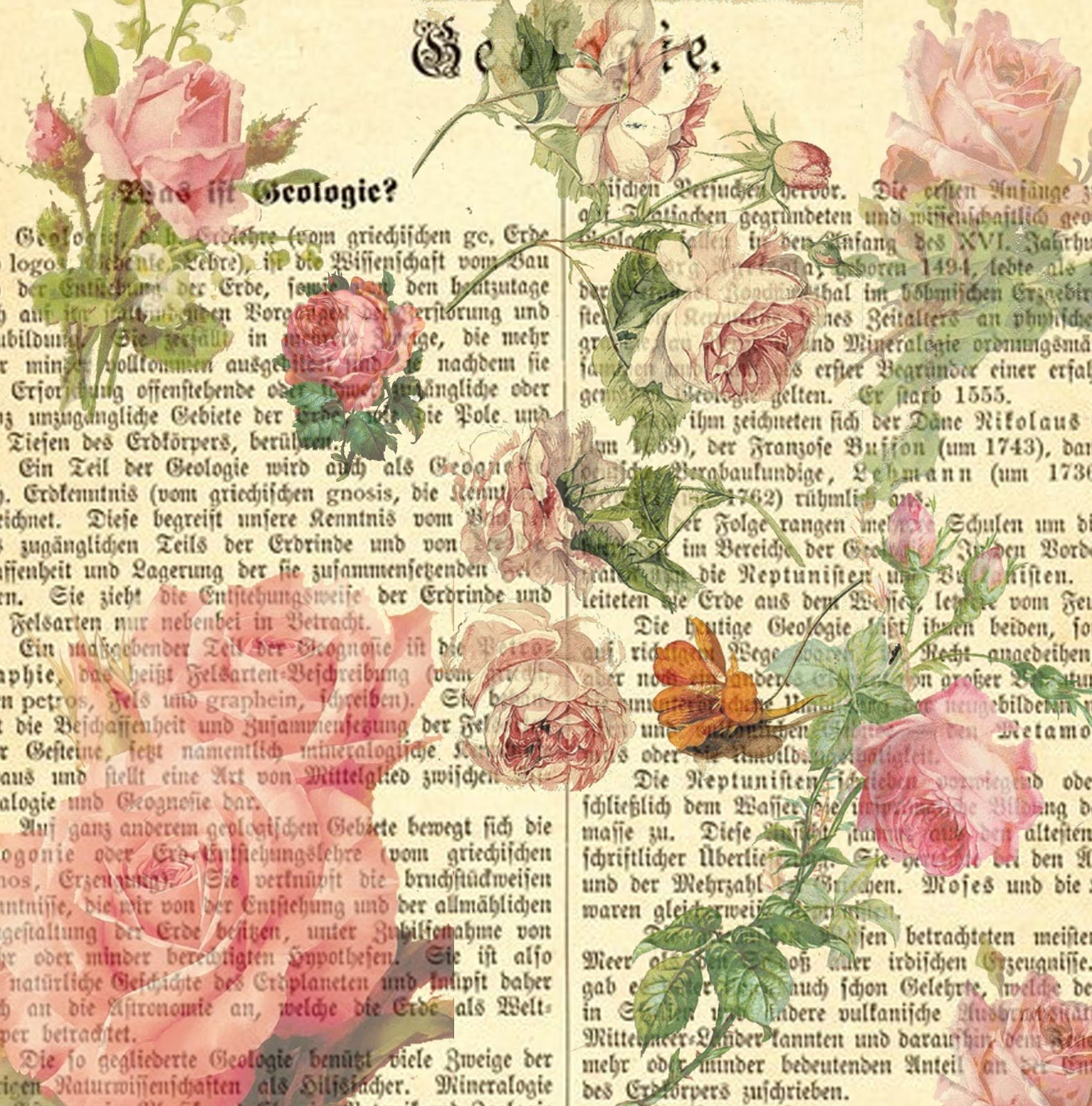 Free Download Inch Vintage Vintage Pink Vintage Rose Scrapbook Rose Printables 1580x1600 For 