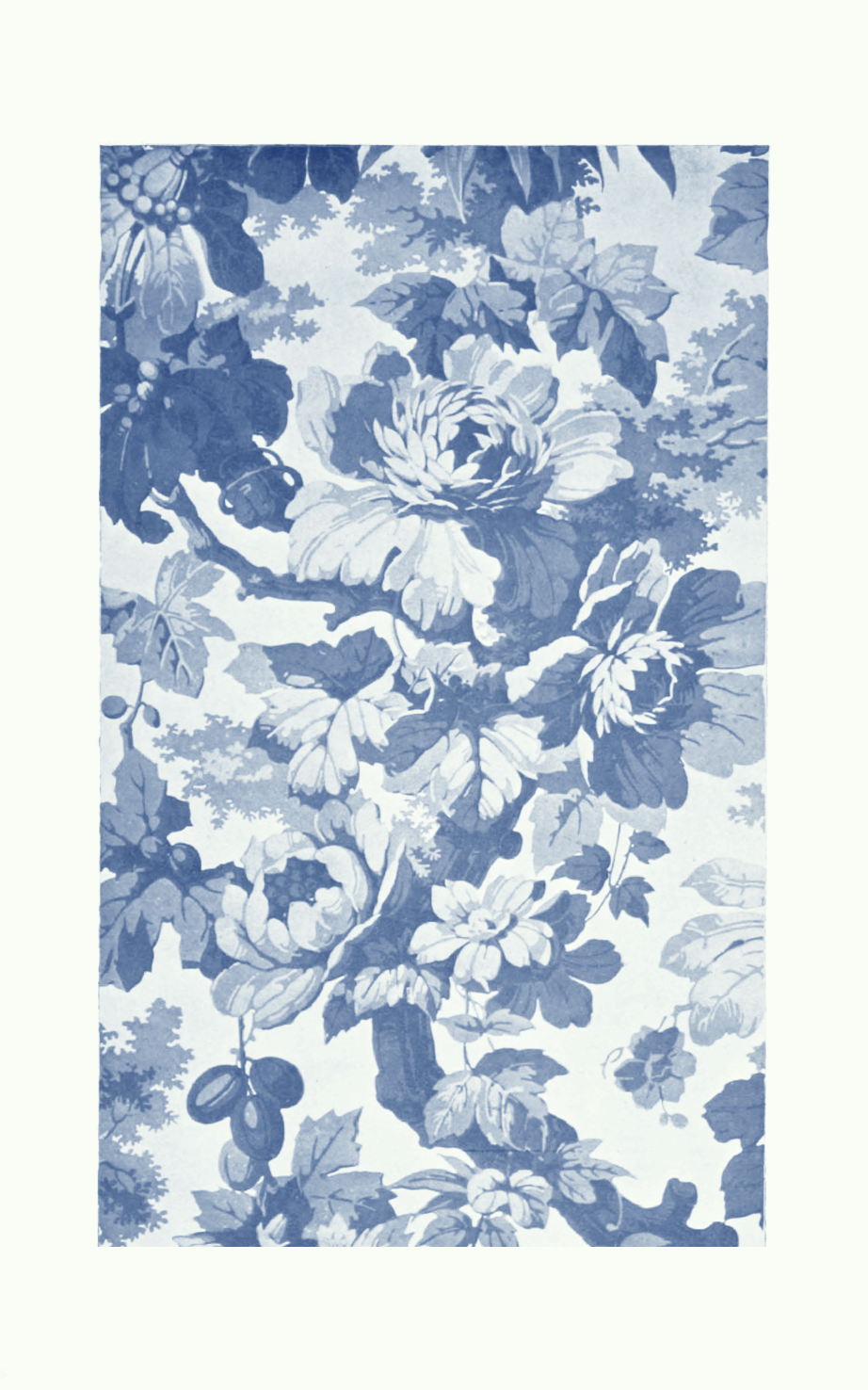 Lovely Blue Cabbage Roses Wallpaper And Matching Curtains How Cool Is