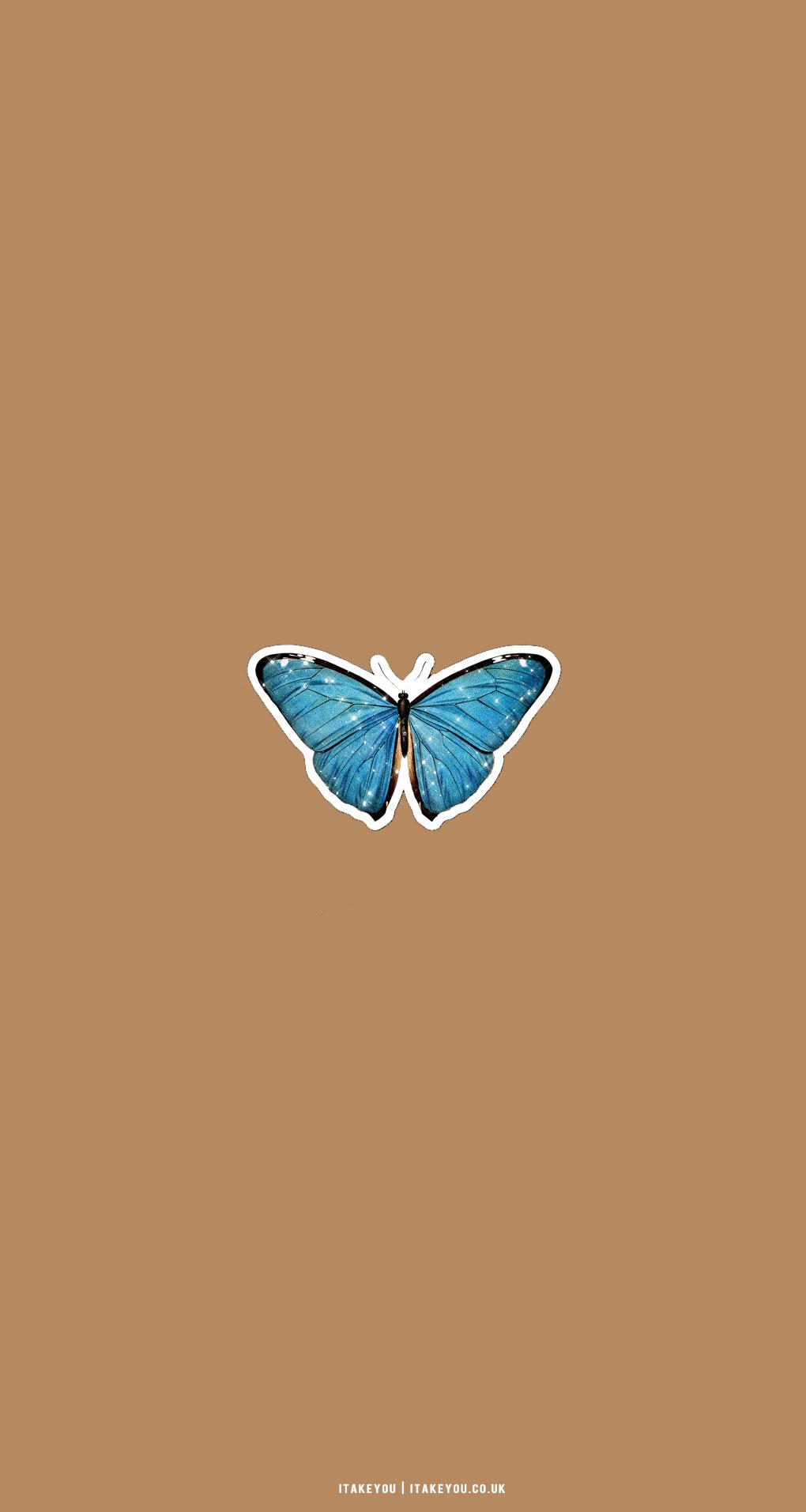 30 Cute Brown Aesthetic Wallpapers for Phone Sparkling Butterfly