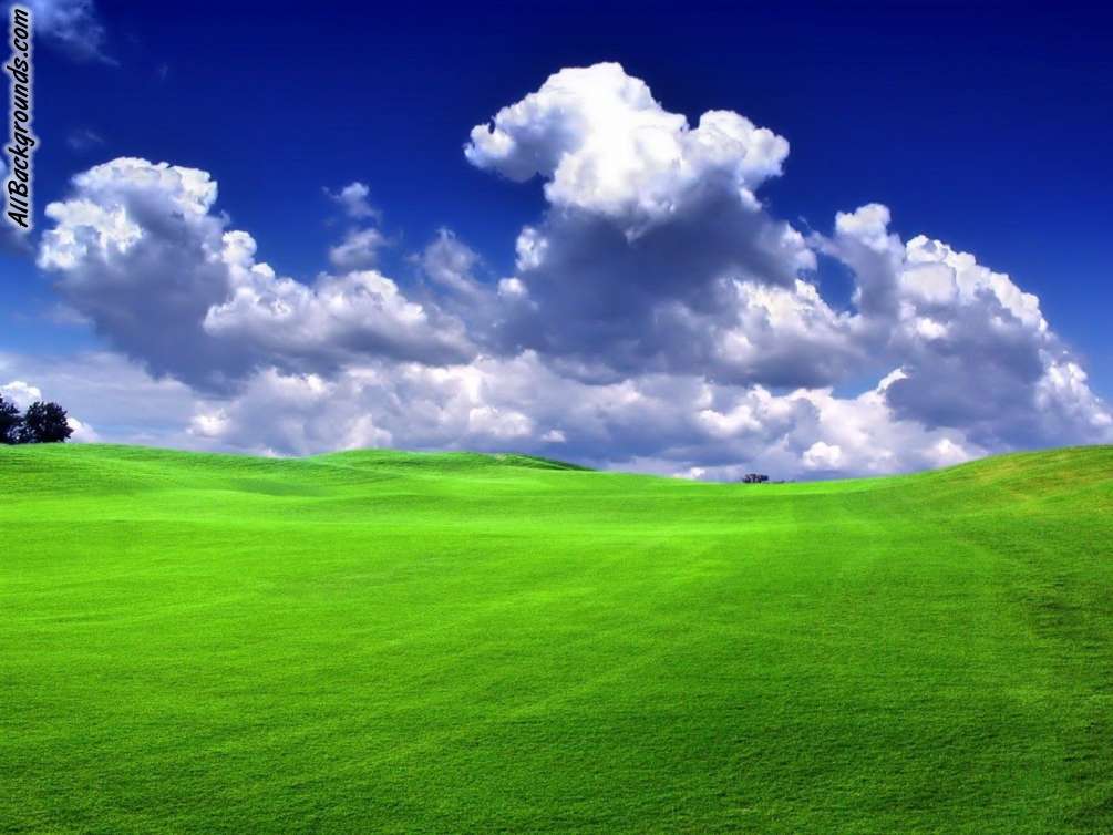Grass And Sky Background Myspace