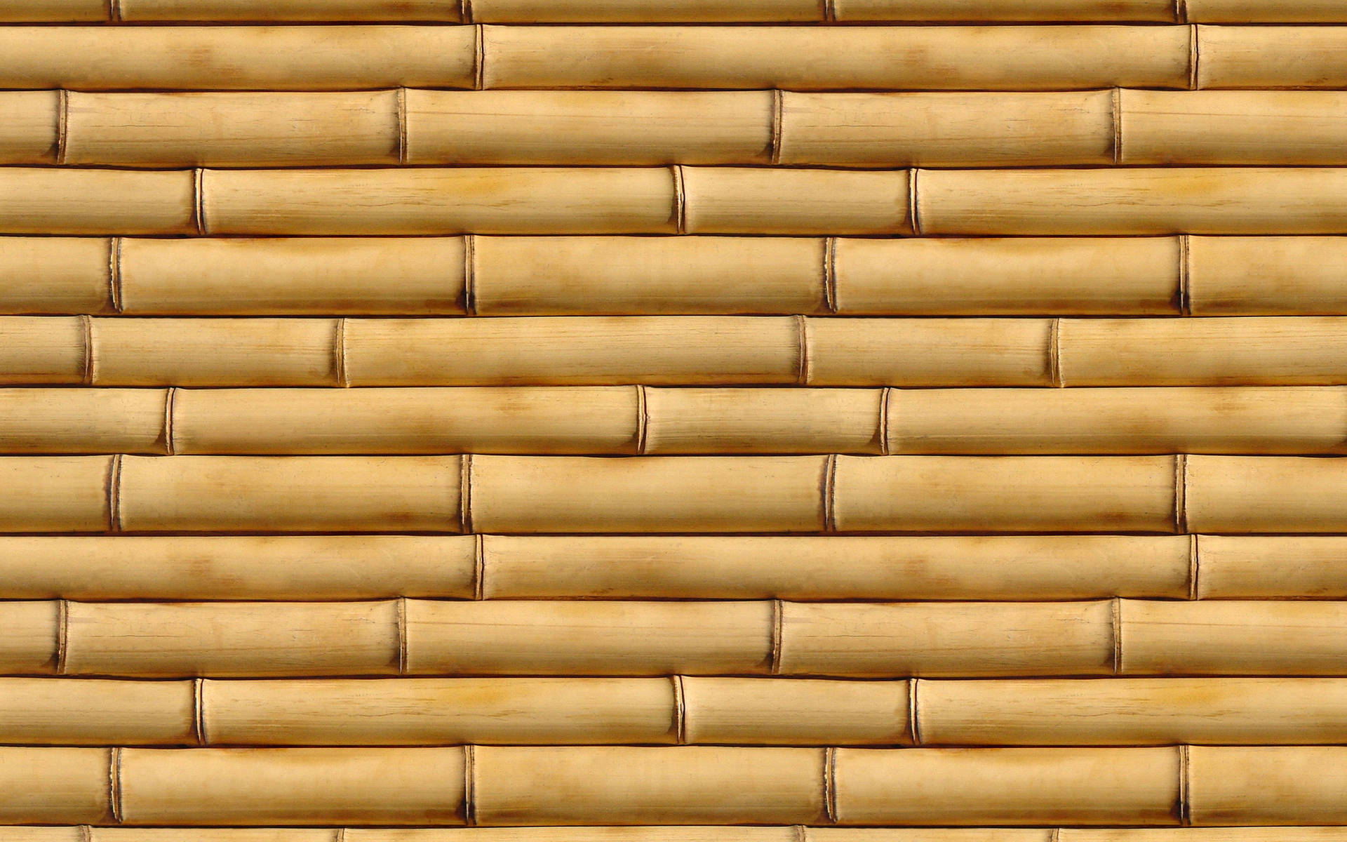 Top Bamboo HD Wallpaper Full 4k To Use