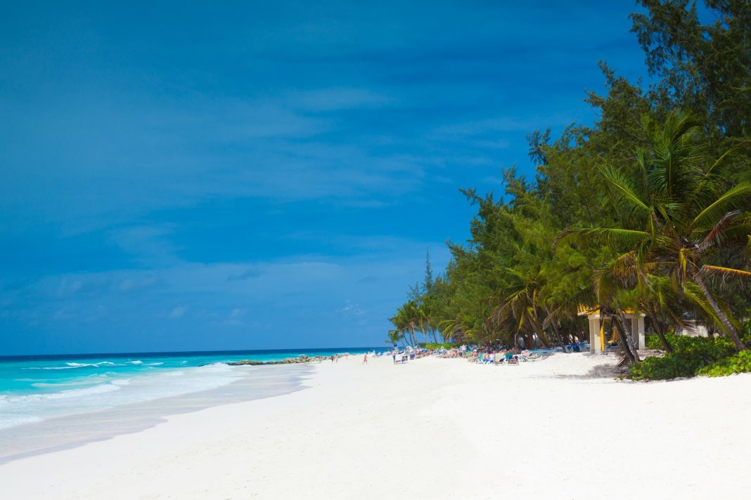 The Top Things To Do In Barbados Plan Your Caribbean Adventure