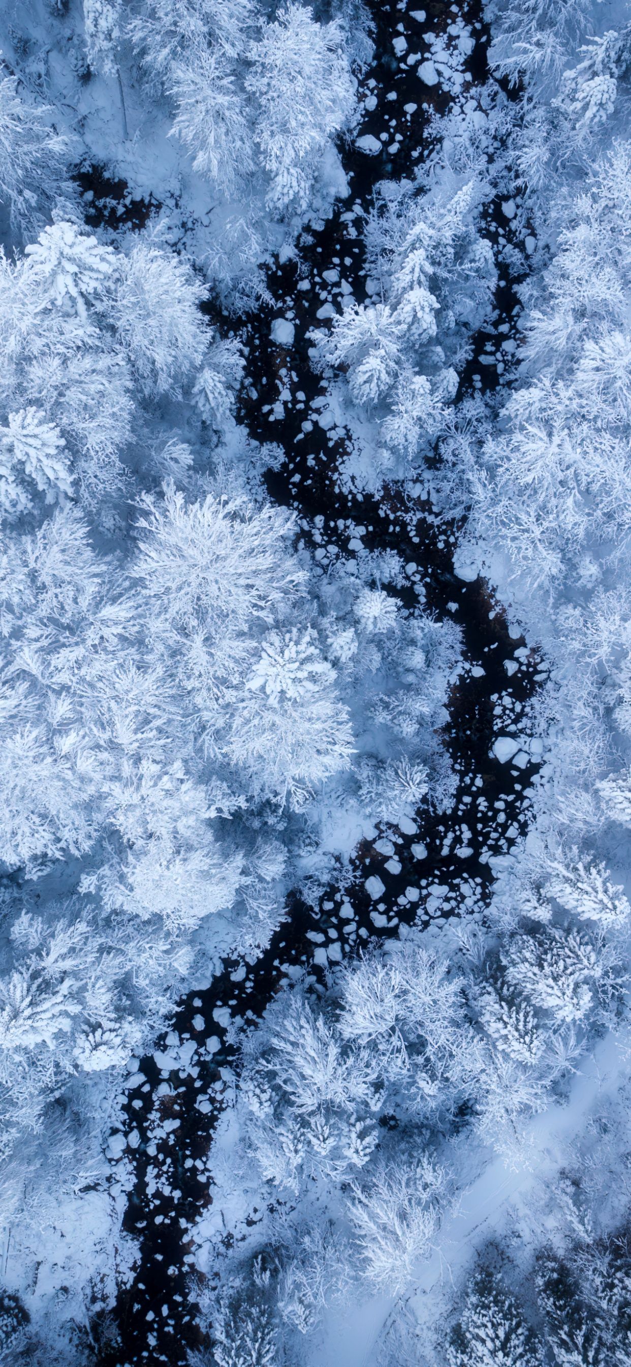 Snow Aesthetic Wallpaper