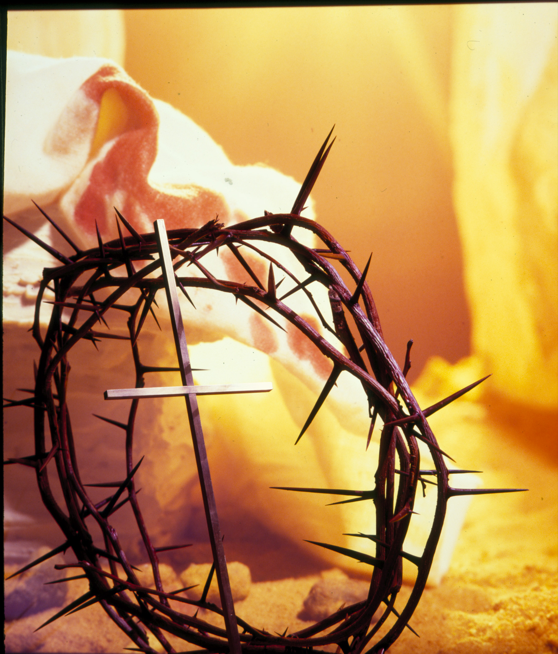  Download Holy Week Explained In Minutes Catholic Link By tgarcia39