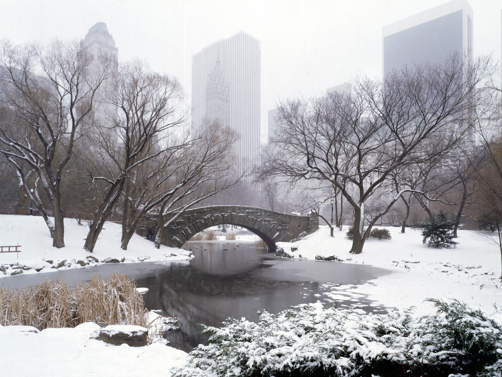  Winter New York City New York   Scenic Wallpaper Image featuring Snow