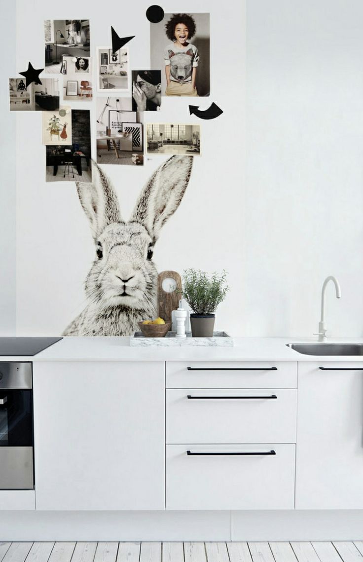 Wallpaper Mag Bunny Rabbits Bunnies