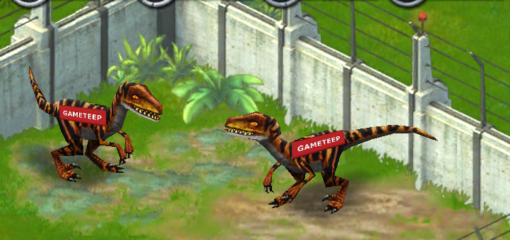 Jurassic Park Builder Velociraptor Evolution Baby Gameteep